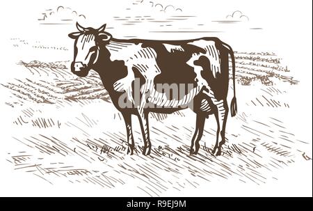 Cow grazing in the meadow. Milk, beef logo or label. Vintage sketch vector Stock Vector