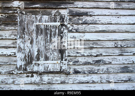 weathered and peeling white paint on very old shuttered window Stock Photo