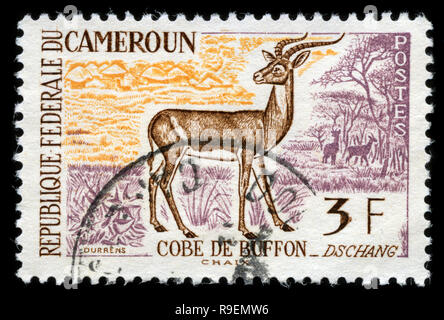 Postage stamp from Cameroon in the Animals series issued in 1962 Stock Photo