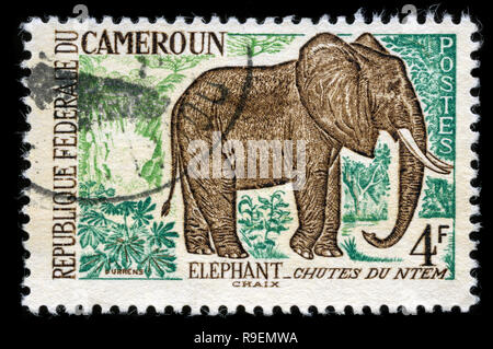 Postage stamp from Cameroon in the Animals series issued in 1962 Stock Photo