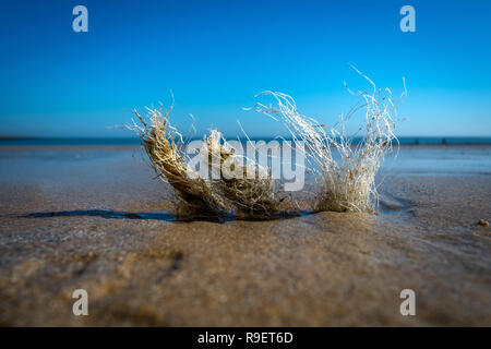 Plastic objects washed up on beach or in the street Stock Photo