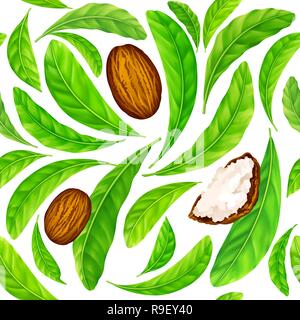 Shea nuts with leaves in vector pattern. Stock Vector