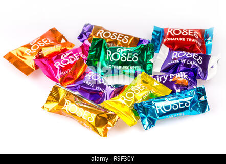 cadbury's Roses chocolates on a white background Stock Photo