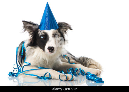 Biglietto d'auguri personalizzato per Border Collie: Festa del tè per amanti dei cani - Italia