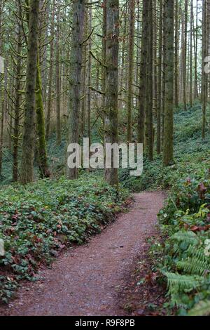 A section of the Ridgeline Trail system in Eugene, OR, USA. Stock Photo