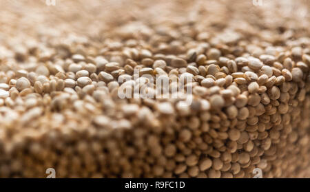 A pile of uncooked pearl barley grains. Stock Photo
