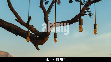 Original lamps hang on long wires against a background of pine branches and sky Stock Photo
