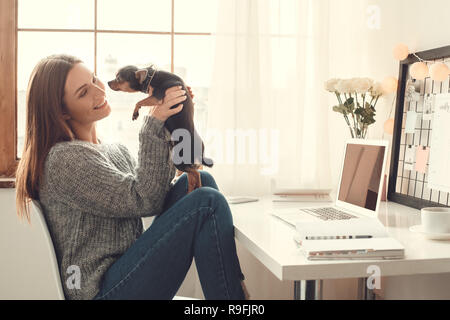 Young female freelancer at home office winter sitting raising up toy terrier dog smiling Stock Photo