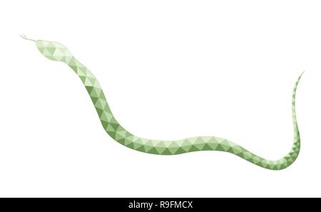 Vector design of snake in low poly style. Animal of australia. Green color. Isolated on white background. Silhouette of an animal from polygons side. Stock Vector
