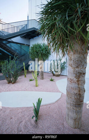 View of outdoor Socotran Garden at new Jameel Arts Centre in Dubai, UAE, United Arab Emirates Stock Photo