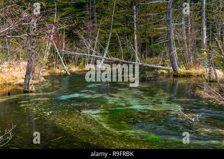 Tashiro Pond in Kamikochi, Japanese Alps, Chubu Sangaku National Park Stock Photo