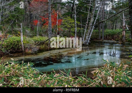 Tashiro Pond in Kamikochi, Japanese Alps, Chubu Sangaku National Park Stock Photo