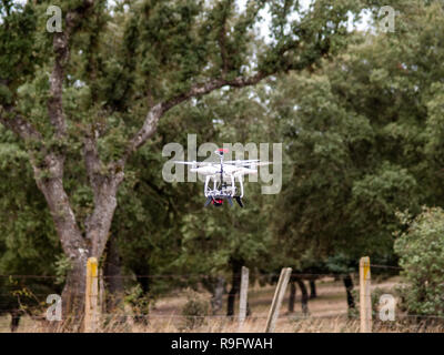 A drone in motion flying in forest in the cloudy sky and trees near Stock Photo