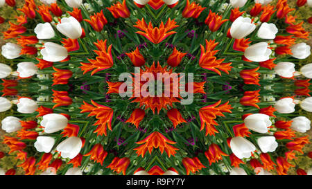 Abstract Colorful Flowers Flora Concept Symmetric Pattern Ornamental Decorative Kaleidoscope Movement Geometric Circle and Star Shapes Stock Photo
