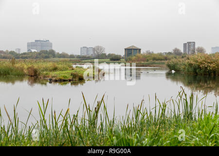 London Wetland Centre; UK Stock Photo