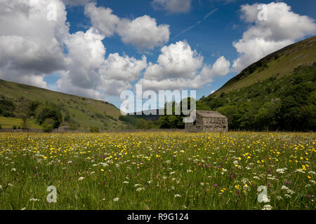 Muker Meadows; Swaledale; Yorkshire; UK Stock Photo