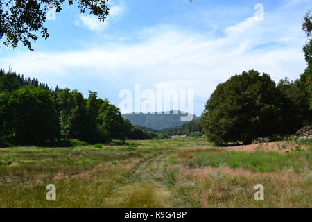 Summer in Doane Valley, Palomar Mountain State Park, California. Doane Ponds and Meadows. Great area for hiking, camping and wildlife watching Stock Photo