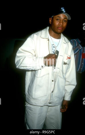 BURBANK, CA - JUNE 5: Rapper/actor LL Cool J attends the Second Annual ...