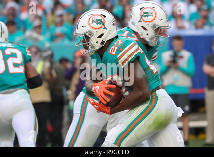 Miami Gardens, Florida, USA. 23rd Dec, 2018. Miami Dolphins running back Kalen Ballage (27) receives a handoff from quarterback Ryan Tannehill (17) during an NFL game against the Jacksonville Jaguars at the Hard Rock Stadium in Miami Gardens, Florida. The Jaguars won 17-7. Credit: Mario Houben/ZUMA Wire/Alamy Live News Stock Photo