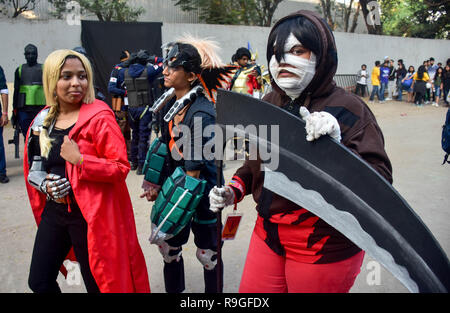 Mumbai, India. 23rd Dec, 2018. Cosplayers are seen posing for a photo during the second day of the 8th 'Mumbai Comic Con 2018' at Bombay Exhibition Center in Mumbai. Credit: Azhar Khan/SOPA Images/ZUMA Wire/Alamy Live News Stock Photo