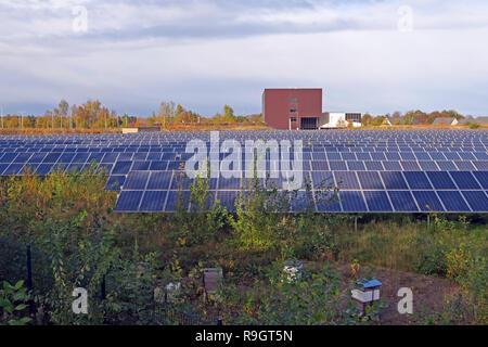 SSE Solar meadow powers Edinburgh college in Eskbank, Dalkeith, Midlothian, Scotland, UK, EH22 Stock Photo