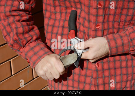 Gardener Hands Sharpen Pruning Shears. Gardener Cleaning and Sharpening Garden Tools. Stock Photo