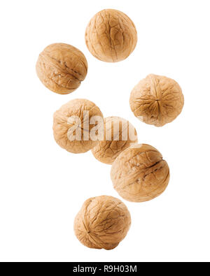 Falling walnut isolated on white background, clipping path, full depth of field Stock Photo