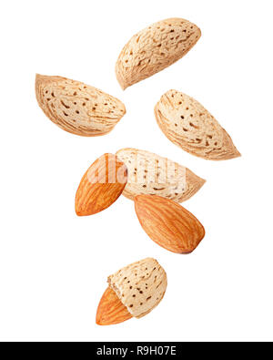 Falling Almond nut in shell isolated on white background, clipping path, full depth of field Stock Photo