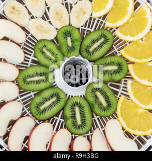 Dehydrator tray with slices of kiwi, apples and oranges. Fruit laid out in rows around. Stock Photo