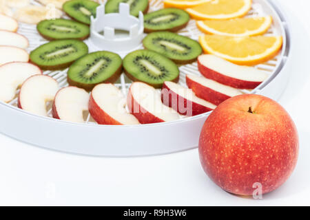Red apple on the background of a dehydrator tray with apples slices. Stock Photo