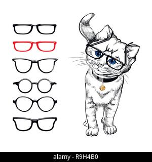 Cat with glasses. Painted stylized image of a cat on a white background, who wears glasses. Choosing glasses for eyes. The selection of glasses Stock Vector