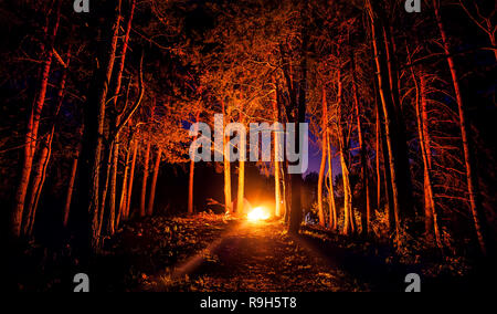 Dark forest with campfire at night Stock Photo - Alamy