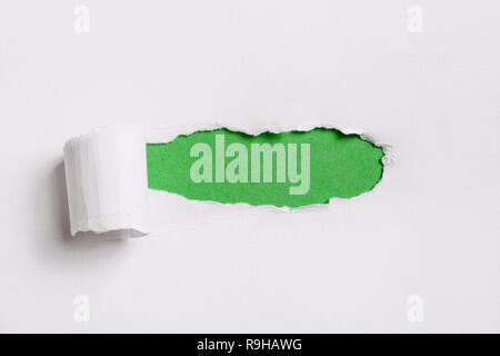 Torn white paper with green copy space for your text. Stock Photo