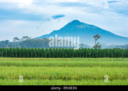 Farmland in Indonesia with the active volcano Mt Merapi rising up into the clouds.  Landscape image. Stock Photo