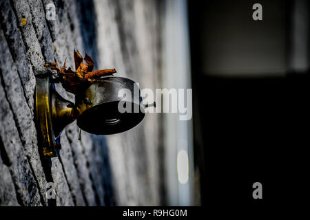 Light fixture without a bulb Stock Photo