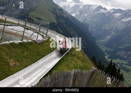 Mother and son sliding down an alpine coaster on vacation laughing. Stock Photo