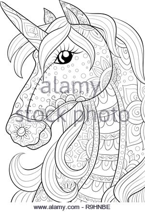 A cute unicorn with ornaments image for relaxing activity.A coloring