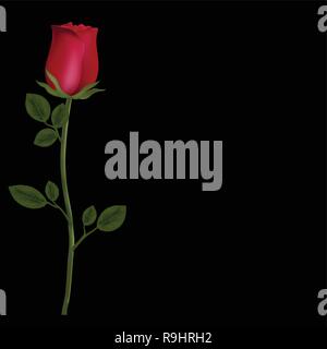 Vector photo-realistic, highly detailed flower of red rose isolated on black background with copy space. Beautiful bud of red rose on long stem. Clip  Stock Vector
