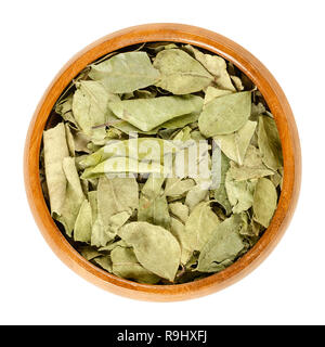 Dried curry leaves in wooden bowl. Whole green leaves of the curry tree, Murraya koenigii, a spice, often used in Indian curries. Stock Photo
