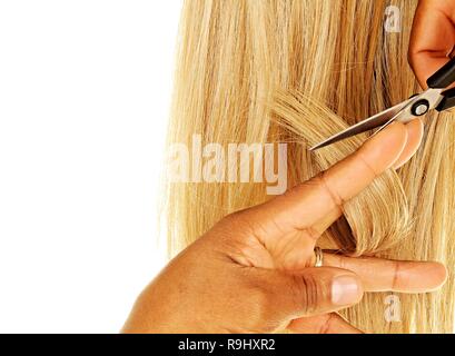 salon tools and equipment tools styling stock photo Stock Photo