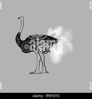 african Ostrich bird. Graphic monochrome animal illustration 10 eps Stock Vector