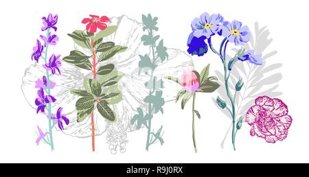 set of hand drawing botanical floral elements - wild flowers Stock Vector