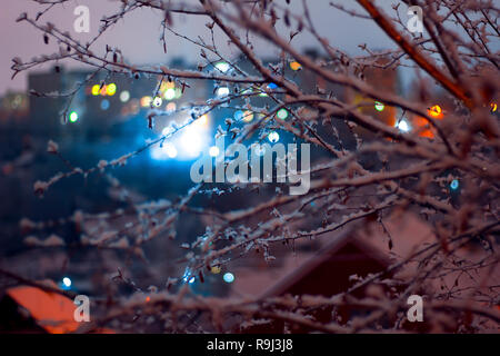 Abstract shoot of a branch whith city lights behind it Stock Photo