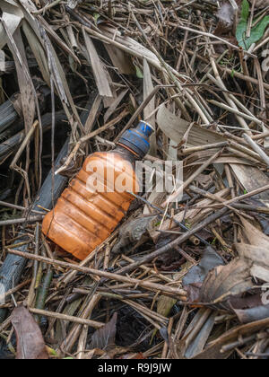 Empty plastic bottle of some sort washed up on shore & polluting the shoreline. Metaphor plastic pollution, environmental pollution, war on plastic. Stock Photo