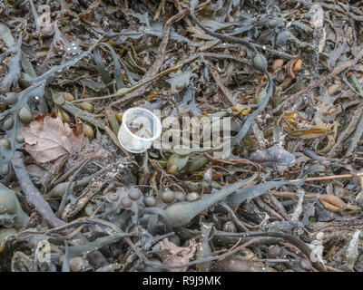 Part of plastic bottle washed up on shore & polluting the shoreline. Metaphor plastic pollution, environmental pollution, war on plastic. Stock Photo