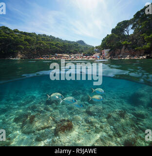 Spain Costa Brava beach with fish underwater, split view half above and below water surface, Aiguablava, Begur, Catalonia, Mediterranean sea Stock Photo