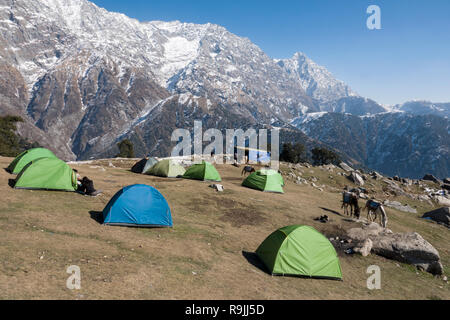 Campsite at Triund in the Dhauladhar ranges in Himachel Pradesh, India Stock Photo