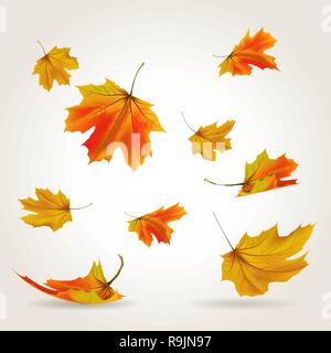 Isolated falling golden leaves set, vector illustration Stock Vector