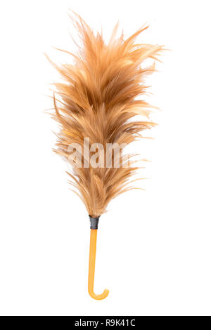 Feather soft duster isolated on white background Stock Photo - Alamy