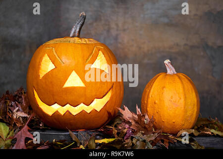 Two Halloween pumpkin on heap of leaves. Grunge background. Stock Photo